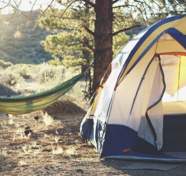 white, yellow, and blue dome tent near green hammock